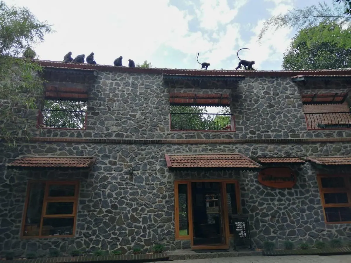 Bed & Breakfast Wildernest Bed and Breakfast Thekkady