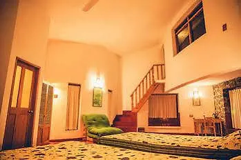 Bed and Breakfast Wildernest Thekkady