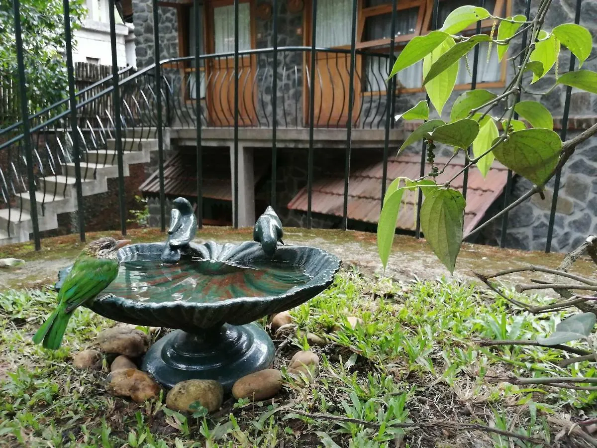 ***  Bed and Breakfast Wildernest Thekkady India